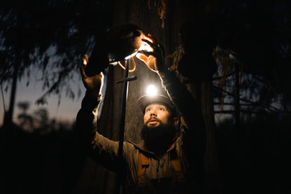 Falcon Light